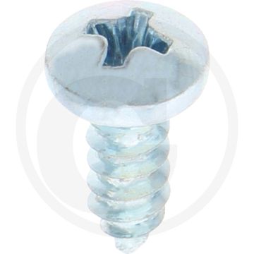 Bolkop plaatschroef 4,8 x 13 DIN 7981 (VPE100)