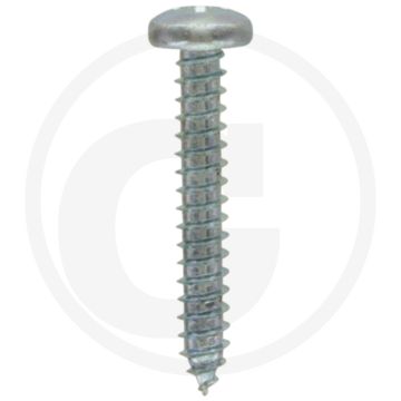 Bolkop plaatschroef 4,8 x 32 DIN 7981 (VPE100)