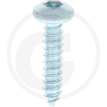 Bolkop plaatschroef 4,8 x 22 DIN 7981 (VPE500)