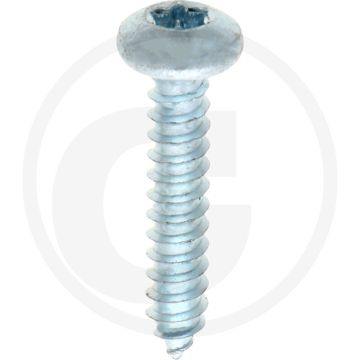 Bolkop plaatschroef 4,8 x 25 DIN 7981 (VPE500)
