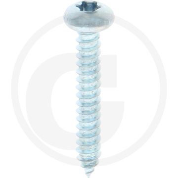 Bolkop plaatschroef 4,8 x 32 DIN 7981 (VPE250)
