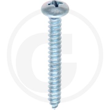 Bolkop plaatschroef 4,8 x 38 DIN 7981 (VPE250)