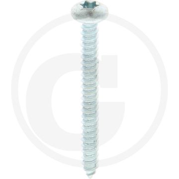 Bolkop plaatschroef 4,8 x 45 DIN 7981 (VPE250)