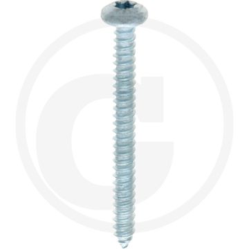 Bolkop plaatschroef 4,8 x 50 DIN 7981 (VPE250)