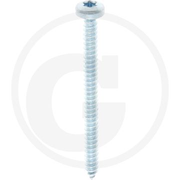 Bolkop plaatschroef 4,8 x 60 DIN 7981 (VPE250)