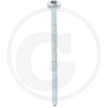 Bolkop plaatschroef 4,8 x 70 DIN 7981 (VPE250)