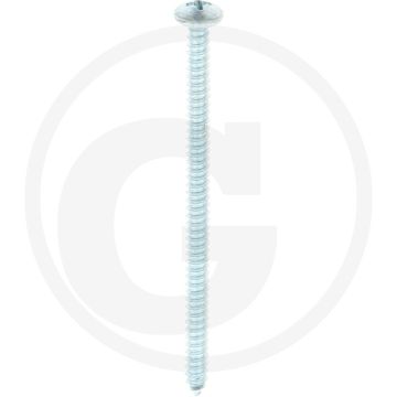 Bolkop plaatschroef 4,8 x 80 DIN 7981 (VPE250)