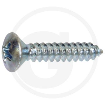 Bolkop plaatschroef 4,8 x 25 DIN 7983 (VPE100)