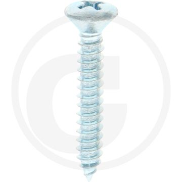 Bolkop plaatschroef 4,8 x 32 DIN 7983 (VPE100)
