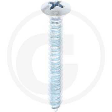 Bolkop plaatschroef 4,8 x 38 DIN 7983 (VPE100)