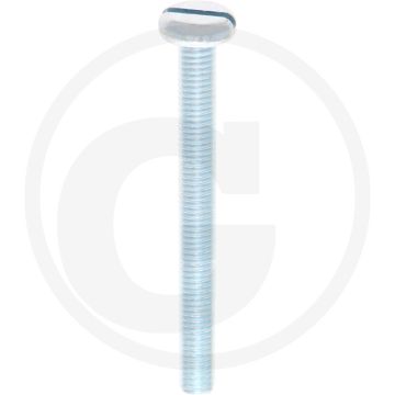 VPE200 pancilinderkopschroef M5x50 DIN85 staal 4.8 gegalvaniseerd zaagsnede