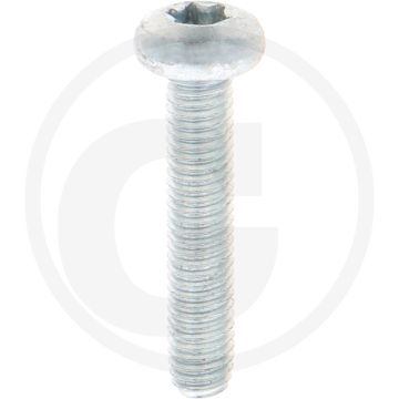 Zelfdraadvormende bout M5 x 25 DIN7500 (VPE1000)