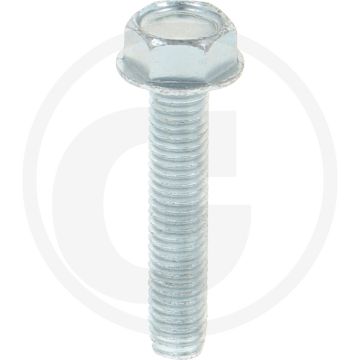 Zelfdraadvormende bout M5 x 25 DIN7500 (VPE1000)