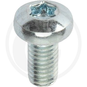 Bolcilinderkopschroeven DIN 7985 M5 x 10 staal gegalvaniseerd TORX® T25 4.8