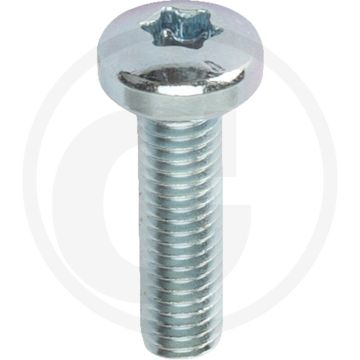 Bolcilinderkopschroeven DIN 7985 M5 x 18 staal gegalvaniseerd TORX T25 4.8
