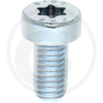 VPE500 cil. binnenzeskantbout M5x10 DIN 7984 staal 8.8 gegalvaniseerd TORX®