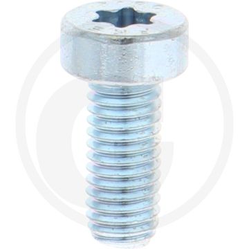 VPE500 cilinderkopbouten M5x12 DIN 7984 staal 8.8 verzinkt TORX T25
