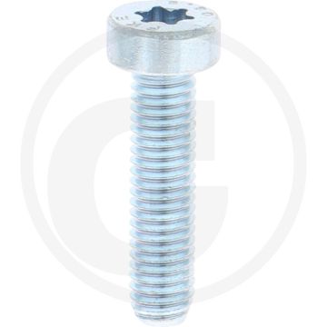 VPE500 cilinderkopbouten M5x20 DIN 7984 staal 8.8 verzinkt TORX T25