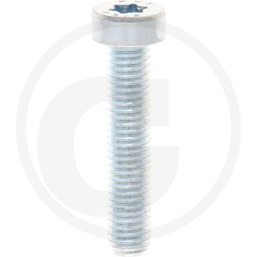 VPE500 cilinderkopbouten M5x25 DIN 7984 staal 8.8 gegalvaniseerd TORX® T25