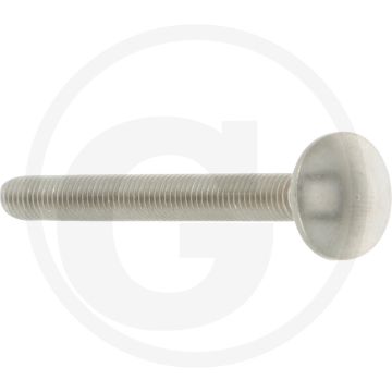 Slotbout M5 x 50, DIN 603, Roestvrijstaal (V2A), Platte ronde kop