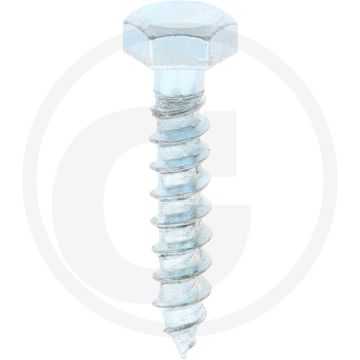 VPE100 houtdraadbouten M5x25 DIN 571 gegalvaniseerd staal buitenzeskantkop