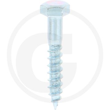 VPE100 houtdraadbouten M5x30 DIN 571 gegalvaniseerd staal buitenzeskantkop