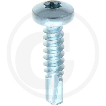 VPE500 zelfb. schroeven 5,5x25 DIN 7504 gegalvaniseerd staal T25 bolle kop