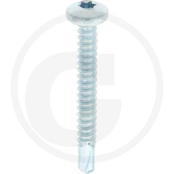 VPE500 zelfb. schroeven 5,5x45 DIN 7504 staal gegalvaniseerd bolle kop T25