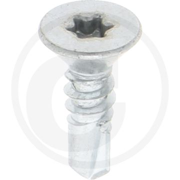 VPE250 zelfb. schroeven 5,5x19 DIN 7504 gegalvaniseerd staal T25 kruiskop
