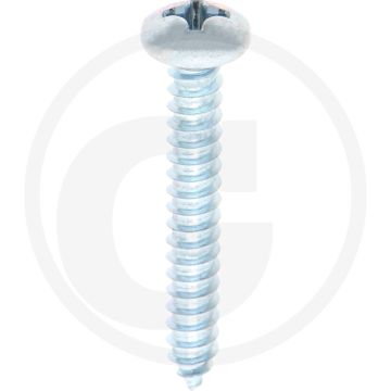 Bolkop plaatschroef 5,5 x 38 DIN 7981 (VPE100)