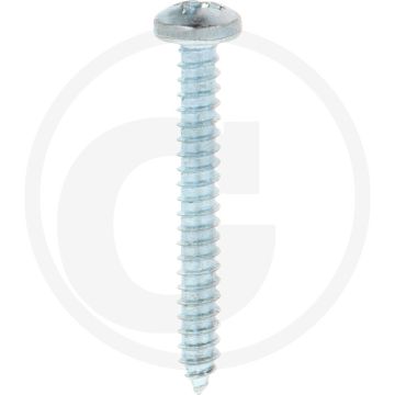 Bolkop plaatschroef 5,5 x 45 DIN 7981 (VPE100)