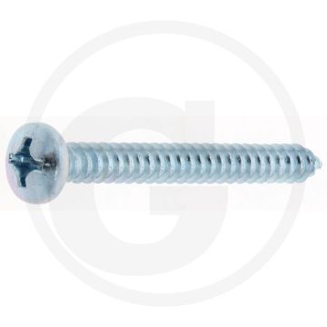 Bolkop plaatschroef 5,5 x 50 DIN 7981 (VPE100)