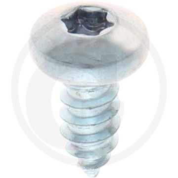 Bolkop plaatschroef 5,5 x 13 DIN 7981 (VPE500)