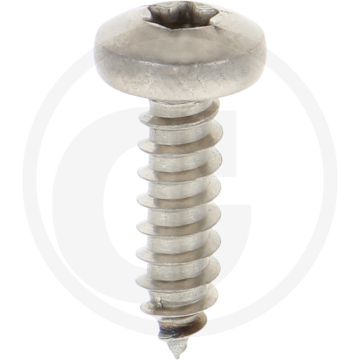 Bolkop plaatschroef 5,5 x 19 DIN 7981 (VPE500)