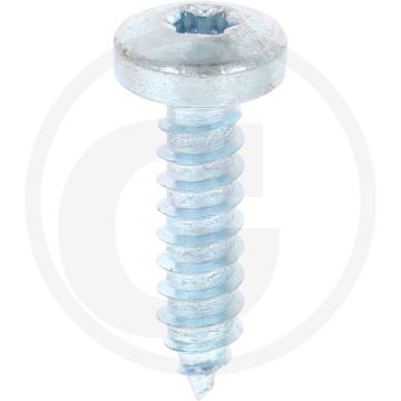 Bolkop plaatschroef 5,5 x 22 DIN 7981 (VPE500)