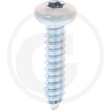 Bolkop plaatschroef 5,5 x 25 DIN 7981 (VPE250)