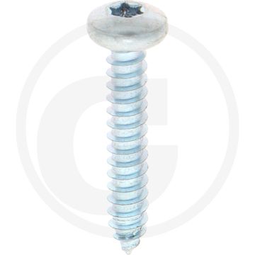 Bolkop plaatschroef 5,5 x 32 DIN 7981 (VPE250)