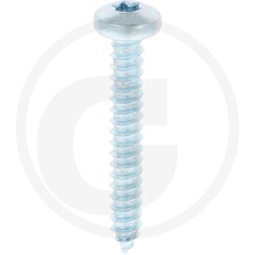 Bolkop plaatschroef 5,5 x 38 DIN 7981 (VPE250)