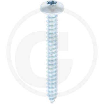 Bolkop plaatschroef 5,5 x 45 DIN 7981 (VPE250)