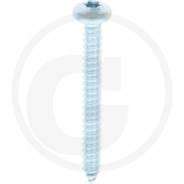 Bolkop plaatschroef 5,5 x 50 DIN 7981 (VPE250)