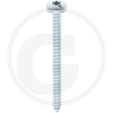 Bolkop plaatschroef 5,5 x 60 DIN 7981 (VPE250)