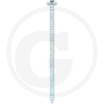 Bolkop plaatschroef 5,5 x 100 DIN 7981 (VPE250)