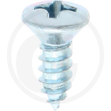 Bolkop plaatschroef 5,5 x 16 DIN 7983 (VPE100)