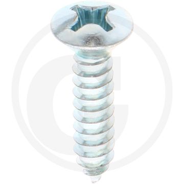 Bolkop plaatschroef 5,5 x 25 DIN 7983 (VPE100)