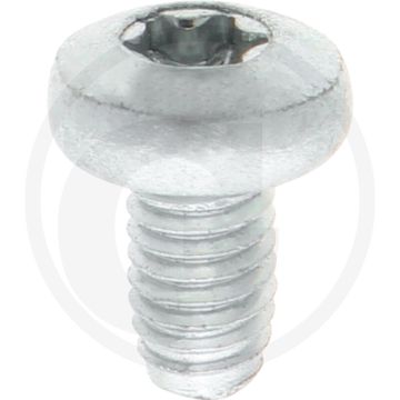 Zelfdraadvormende bout M6 x 10 DIN7500 (VPE1000)