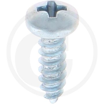 Bolkop plaatschroef 2,9 x 9,5 DIN 7981 (VPE100)