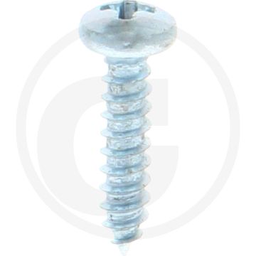 Bolkop plaatschroef 2,9 x 13 DIN 7981 (VPE100)