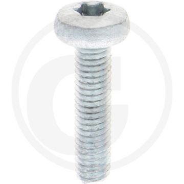 Zelfdraadvormende bout M6 x 25 DIN7500 (VPE500)