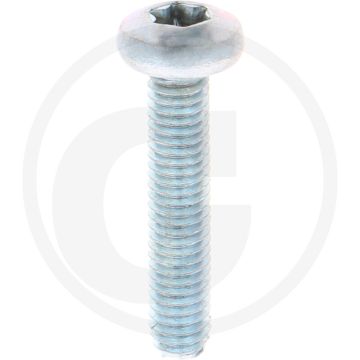 Zelfdraadvormende bout M6 x 30 DIN7500 (VPE500)