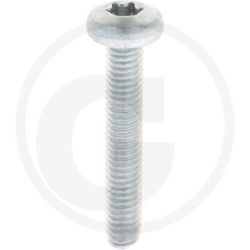 Zelfdraadvormende bout M6 x 35 DIN7500 (VPE500)